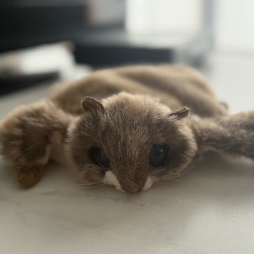 Folkmanis Children’s Adorable Brown Flying Squirrel Plush Toy Puppet